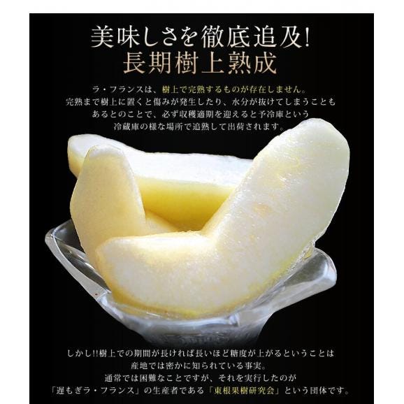 『遅もぎラ・フランス』山形県産 西洋梨 特秀品 約3kg（6～11玉）化粧箱 ※常温 ＜山形直送＞ 送料無料02