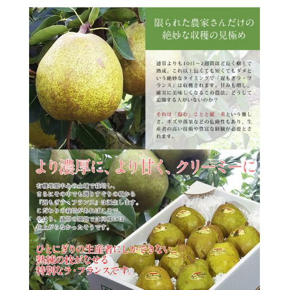 『遅もぎラ・フランス』山形県産 西洋梨 特秀品 約3kg（6～11玉）化粧箱 ※常温 ＜山形直送＞ 送料無料03