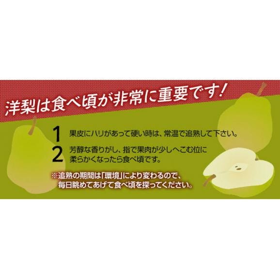 『遅もぎラ・フランス』山形県産 西洋梨 特秀品 約3kg（6～11玉）化粧箱 ※常温 ＜山形直送＞ 送料無料04