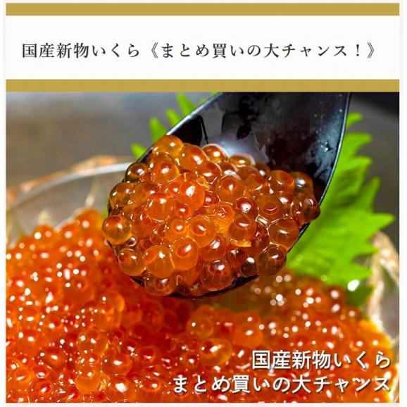 北海道産いくら醤油漬　250g（2023年新物）※冷凍 送料無料 イクラ サケ02