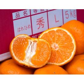 JA蒲郡市 はれひめ 愛知県産 柑橘 秀品 3Lサイズ 風袋込 約4kg 産地箱 ※常温　送料無料