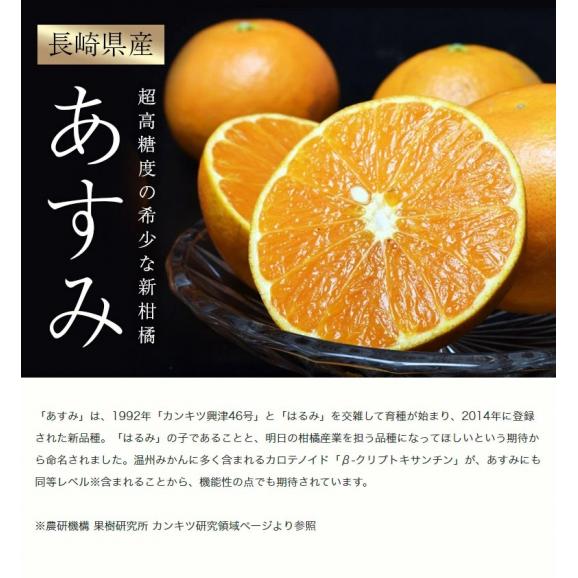 JA長崎せいひ あすみ 長崎県産 柑橘 S～L 約2.5kg×2箱 産地箱 風袋込 ※常温　送料無料02