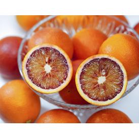 JAえひめ南 ブラッドオレンジ （モロ種） 愛媛県産 柑橘 M～2L 秀品 約5kg 産地箱 ※常温　送料無料