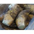 【カード・代引き限定】『たけのこ』 大サイズ 約1.8kg 2本　九州産 糠付き ※冷蔵　送料無料