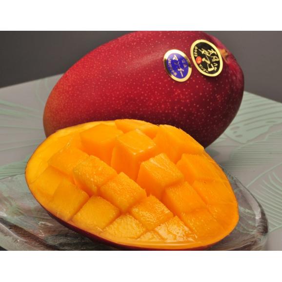 みやざき完熟マンゴー 太陽のタマゴ 宮崎県産 2Lサイズ （350～449g）×3玉 化粧箱 ※常温 送料無料 贈答 ギフト 贈り物02