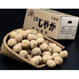 【芽が出た訳あり品】とうや　じゃがいも　北海道産　M～Lサイズ　約10kg　秋収穫のひね物　※常温　送料無料