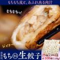 餃子 ぎょうざ 業務用 もち〇生餃子 25粒×4Ｐ 計100個 1.8kg 冷凍 おかず おつまみ 簡単調理 冷凍 冷凍同梱可冷凍　送料無料