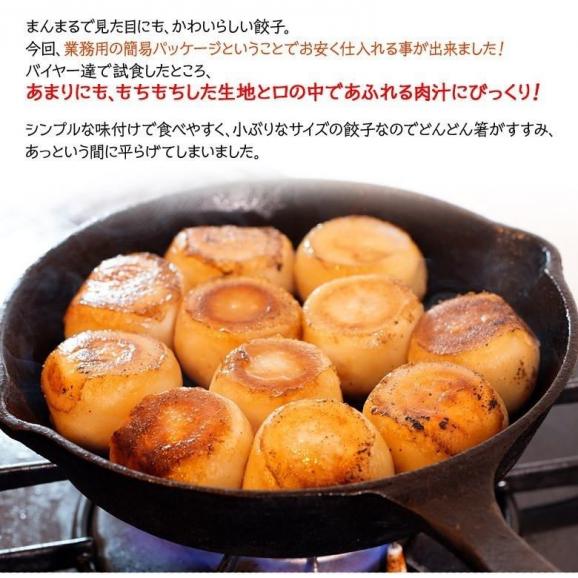 餃子 ぎょうざ 業務用 もち〇生餃子 25粒×4Ｐ 計100個 1.8kg 冷凍 おかず おつまみ 簡単調理 冷凍 冷凍同梱可冷凍02