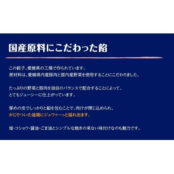 餃子 ぎょうざ 業務用 もち〇生餃子 25粒×4Ｐ 計100個 1.8kg 冷凍 おかず おつまみ 簡単調理 冷凍 冷凍同梱可冷凍04