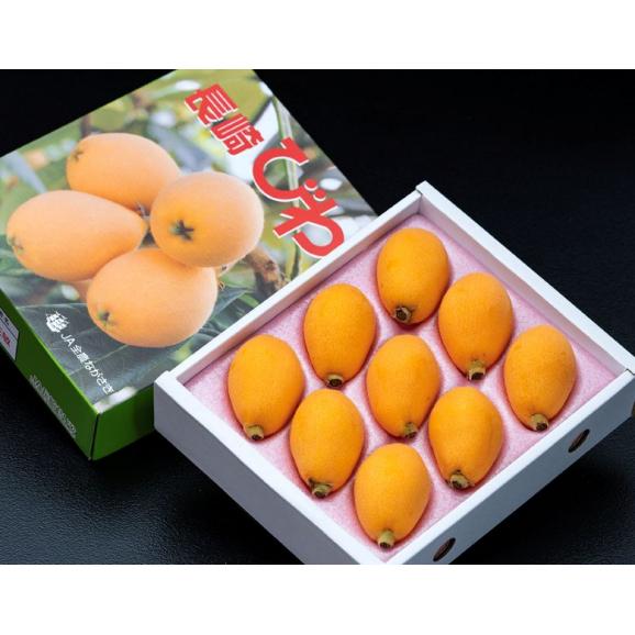 長崎びわ 長崎県産 L〜2L 約500g&times;2箱 (1箱：9〜12玉） ハウス栽培 化粧箱 ※冷蔵 送料無料 びわ 枇杷02