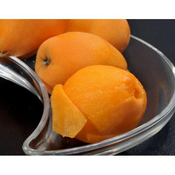 長崎びわ 長崎県産 L〜2L 約500g&times;2箱 (1箱：9〜12玉） ハウス栽培 化粧箱 ※冷蔵 送料無料 びわ 枇杷03