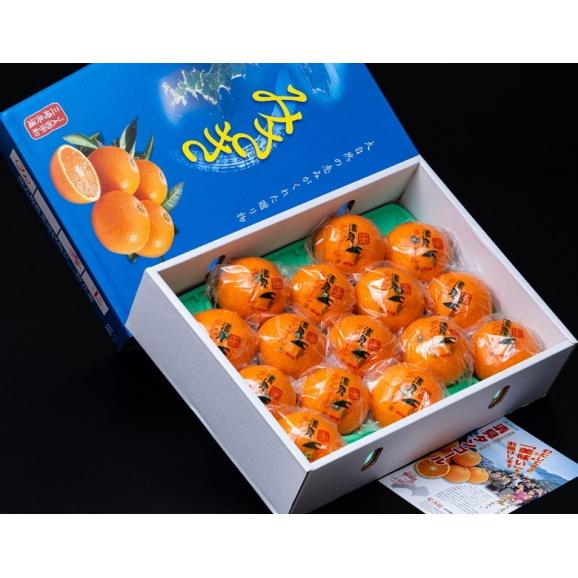 JAにしうわ 三崎共選『貯蔵 完熟清見オレンジ』愛媛県産 秀品 L～2L 約3kg（12～15玉）化粧箱 風袋込 ※常温　送料無料02