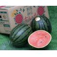 Niigata ルビームーン 新潟県産 小玉 すいか 約10kg（4玉）産地箱 風袋込※常温 新潟西小玉すいか部会 送料無料