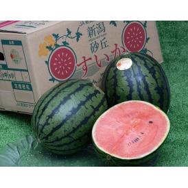 Niigata ルビームーン 新潟県産 小玉 すいか 約10kg（4玉）産地箱 風袋込※常温 新潟西小玉すいか部会 送料無料