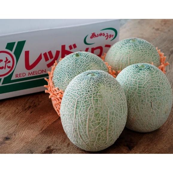 茨城県産 赤肉メロン（ルピアレッド他） 4玉入 3Lサイズ 風袋込