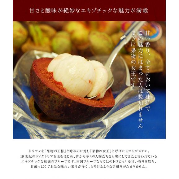 楽天市場】マンゴスチン ライチの通販