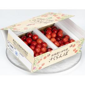 仁木町の大粒さくらんぼ 北海道産(佐藤錦または紅秀峰)　 秀品 計約600g（約300g×2p）2～3Lサイズ 　 化粧箱　 ※冷蔵 　JAおたる 送料無料