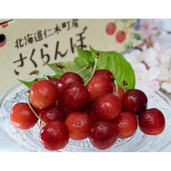 仁木町の大粒さくらんぼ 北海道産(佐藤錦または紅秀峰) 秀品 計