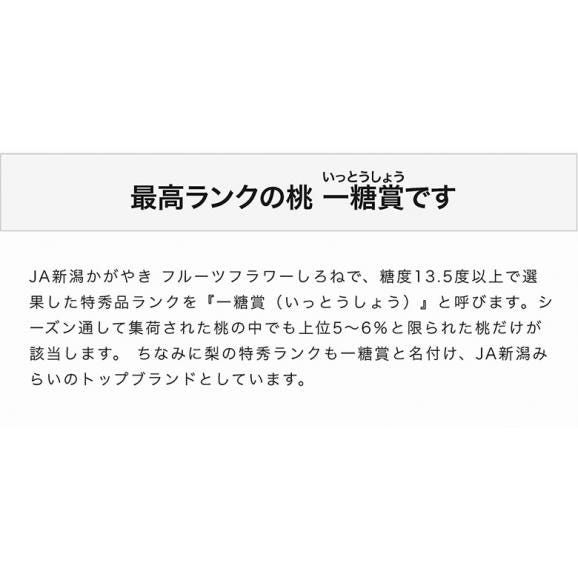 糖度13.5度以上 一糖賞 新潟県産桃 特秀品 約2kg（6～8玉）風袋込み 化粧箱 ※常温 JA新潟かがやき 送料無料04