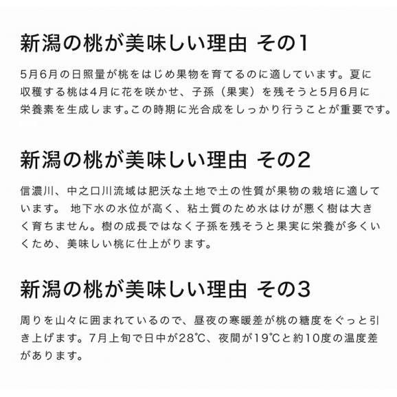 糖度13.5度以上 一糖賞 新潟県産桃 特秀品 約2kg（6～8玉）風袋込み 化粧箱 ※常温 JA新潟かがやき 送料無料06