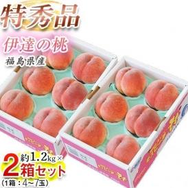 伊達の桃　ミスピーチ　福島県産 特秀品 約1.2kg×2箱 (1箱：4～7玉) 産地箱 風袋込 ※常温　送料無料　桃
