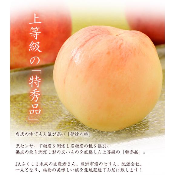 伊達の桃　ミスピーチ　福島県産 特秀品 約1.2kg×2箱 (1箱：4～7玉) 産地箱 風袋込 ※常温　送料無料　桃02