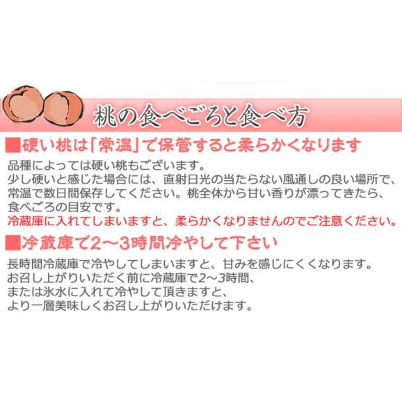 伊達の桃　ミスピーチ　福島県産 特秀品 約1.2kg×2箱 (1箱：4～7玉) 産地箱 風袋込 ※常温　送料無料　桃06