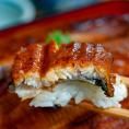 鰻 若うなぎの蒲焼 鹿児島県産 築地魚力 5尾（1尾：130g以上）山椒・たれ付き ※冷凍 うなぎ 築地魚力 送料無料