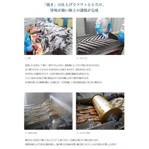 鰻 若うなぎの蒲焼 鹿児島県産 築地魚力 5尾（1尾：130g以上）山椒・たれ付き ※冷凍 うなぎ 築地魚力 送料無料05