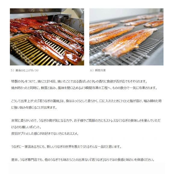 鰻 若うなぎの蒲焼 鹿児島県産 築地魚力 5尾（1尾：130g以上）山椒・たれ付き ※冷凍 うなぎ 築地魚力 送料無料06