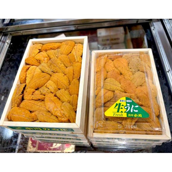 カード又は代引き限定 『キタムラサキウニ』弁当箱/バラ B品 約250g 岩手県産他 ※冷蔵 送料無料02