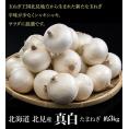 玉ねぎ 『真白 （ましろ）』 北海道産 簡易箱 約3kg M〜L (目安18〜22玉) ※冷蔵