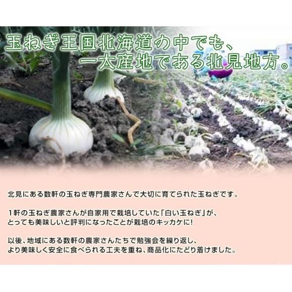 玉ねぎ 『真白 （ましろ）』 北海道産 簡易箱 約3kg M〜L (目安18〜22玉) ※冷蔵03