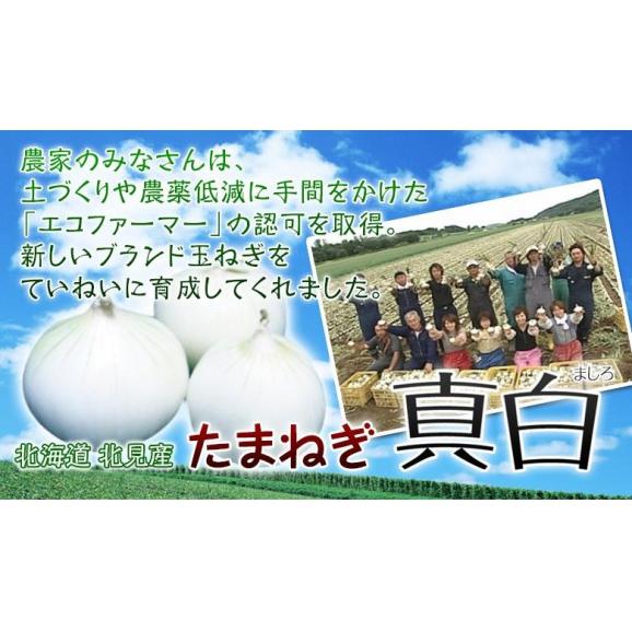 玉ねぎ 『真白 （ましろ）』 北海道産 簡易箱 約3kg M〜L (目安18〜22玉) ※冷蔵04