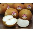 糖度13.5度以上『一糖賞 梨（品種：豊水）』新潟県産 約5kg（12～18玉） 産地箱 ※冷蔵 JA新潟かがやき 送料無料