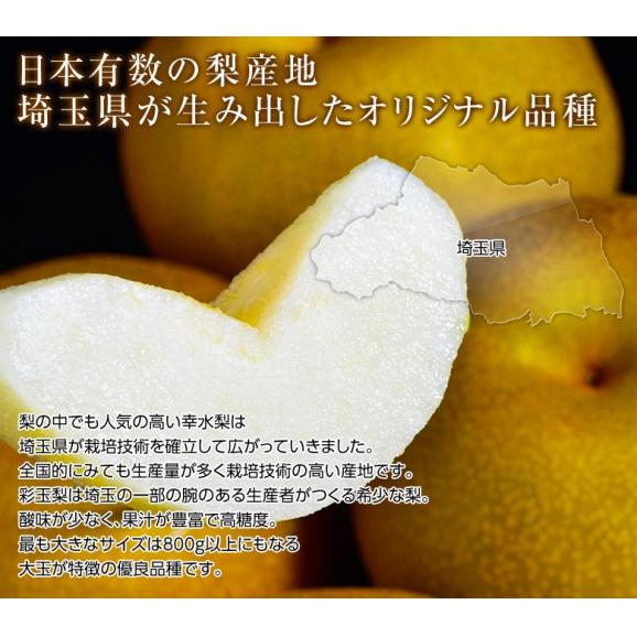 大玉　彩玉梨　さいぎょくなし　埼玉県産 風袋込 約5kg（6～12玉）産地箱 ※冷蔵　送料無料02