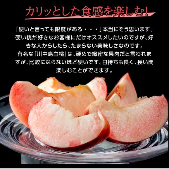 大玉 かたい桃 山形県産 秀～特秀 約2.3kg（4～8玉）簡易箱 ※常温　送料無料03