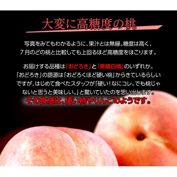 大玉 かたい桃 山形県産 秀～特秀 約5kg（10～16玉）産地箱 風袋込 ※常温　送料無料04