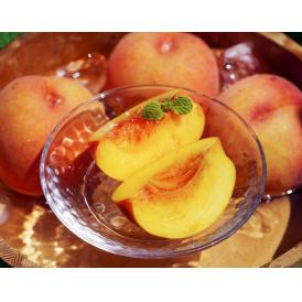 【カード・又は代引限定】大玉『ジョンダピーチ（黄金桃）』山形県大富産 特秀 約3kg（7〜12玉）産地箱 風袋込 ※冷蔵　送料無料