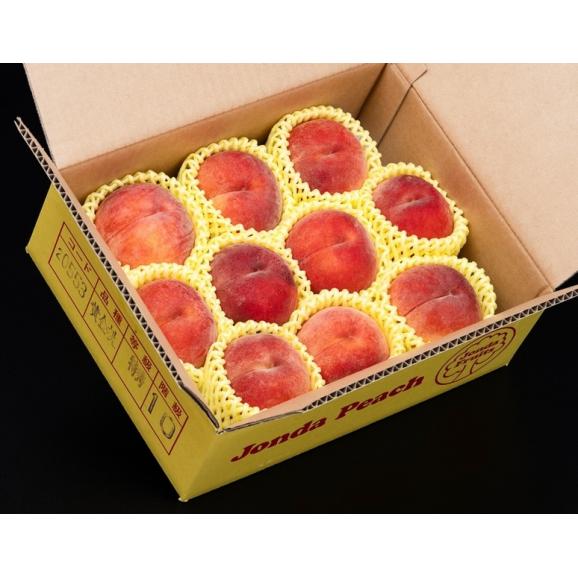 【カード・又は代引限定】大玉『ジョンダピーチ（黄金桃）』山形県大富産 特秀 約3kg（7〜12玉）産地箱 風袋込 ※冷蔵　送料無料02