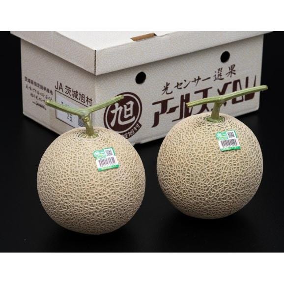 JA茨城旭村　ご自宅用 『超大玉アールスメロン』2玉　合計約4kg 産地箱 ※常温　送料無料03