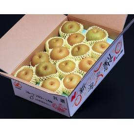 糖度14度以上『一糖賞 梨（品種：あきづき）』 JA新潟かがやき 約5kg（12〜18玉）原体箱 風袋込 ※冷蔵 送料無料