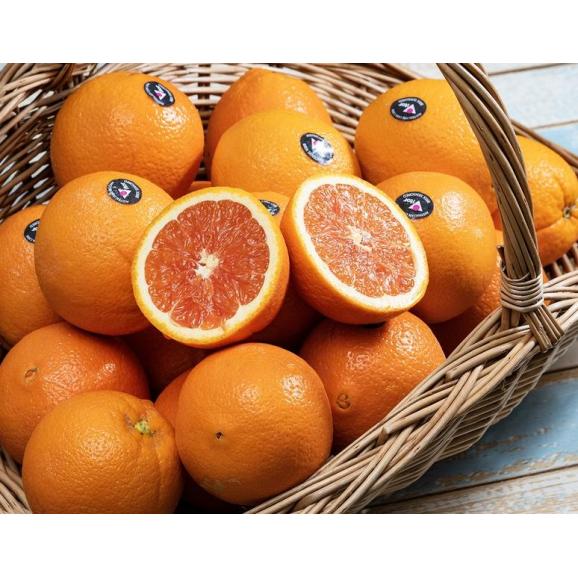 オーストラリア産　カラカラオレンジ 大玉　風袋込　約5kg (目安として20玉） ※常温 送料無料02