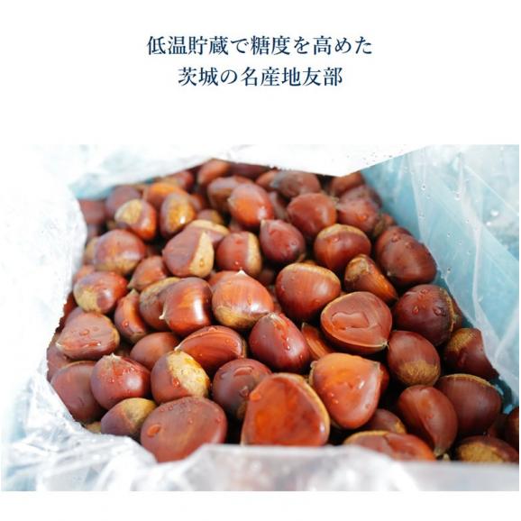 低温熟成冷凍栗（茨城産） 2L〜3L 14kg （低温熟成 丹波栗