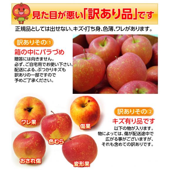 訳あり『サンふじリンゴ』 山形県産 約5kg（目安として13～25玉） バラ詰め 風袋込 ※常温  送料無料04