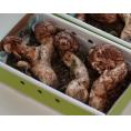 カード・又は代引限定【すだち付き】キズ品 まつたけ（松茸） 北海道・長野県・岩手県産 300g（目安：3～8本） ※冷蔵 送料無料