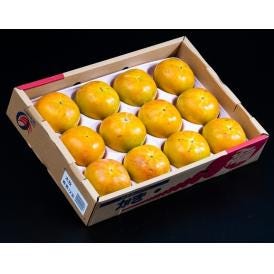 『大玉 太秋柿』福岡県産 秀 約4kg（12玉）産地箱 ※常温　送料無料