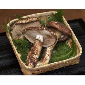 【すだち付き】無選別品 開き まつたけ（松茸） 長野県・岩手県産 　約200g 目安：2～4本 ※冷蔵　送料無料 カード・又は代引限定