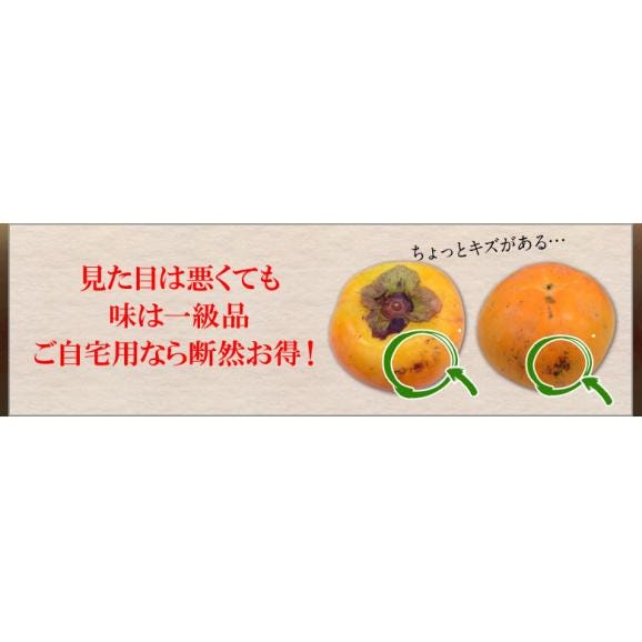 太秋柿　熊本県産  ご自宅用　無印　8～14玉 風袋込　約3.5kg ※常温　外皮に傷あり　送料無料02