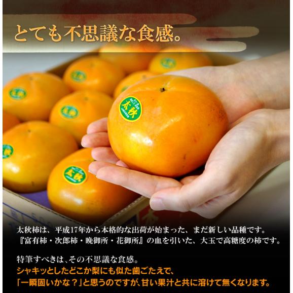 太秋柿　熊本県産  ご自宅用　無印　8～14玉 風袋込　約3.5kg ※常温　外皮に傷あり　送料無料03